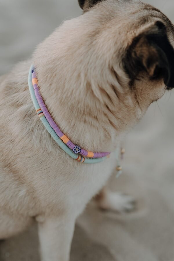Violet Necklace - Afbeelding 3