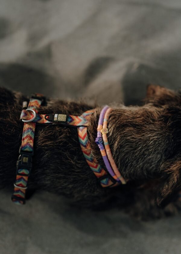 Violet Necklace - Afbeelding 5