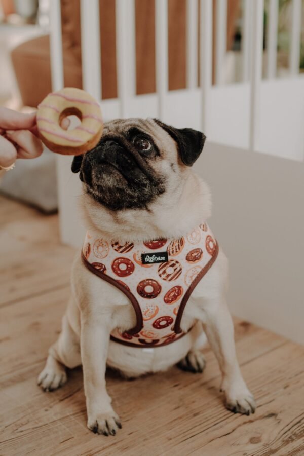 Donuts - Afbeelding 3