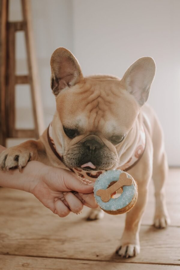 Donuts