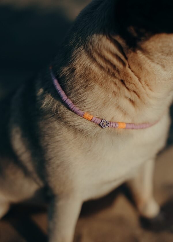 Violet Necklace