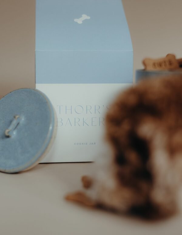 Cookie Jar 'Thorr' - Afbeelding 3