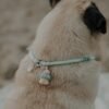 Thorr necklace - Afbeelding 3