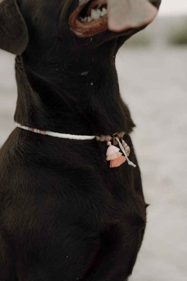 Indi necklace - Afbeelding 5