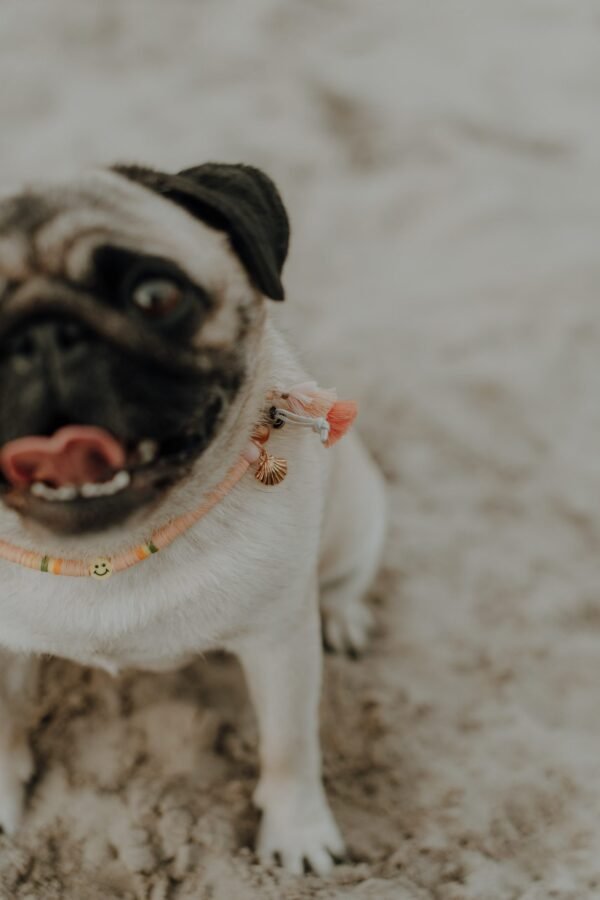 Peaches necklace - Afbeelding 5