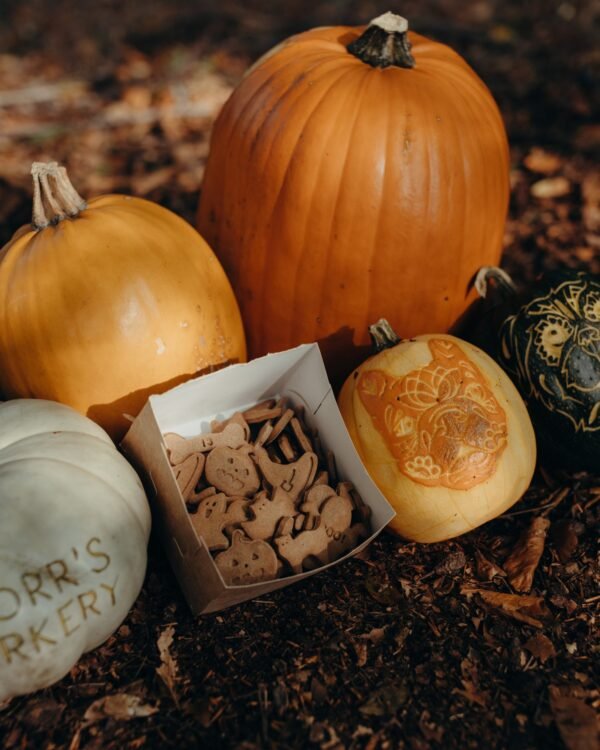Trick or treat box - Afbeelding 3
