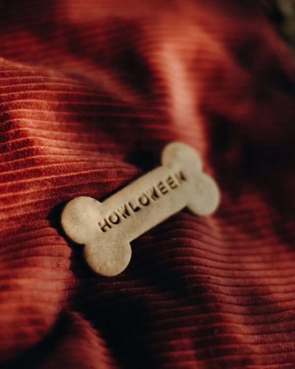 Howloween Iced Set - Afbeelding 3