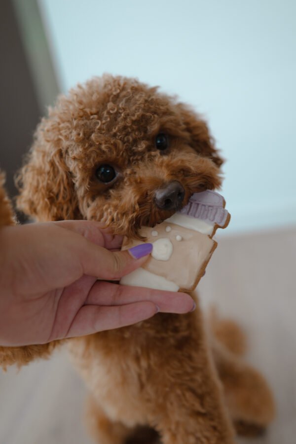 Puppuccino - Afbeelding 8