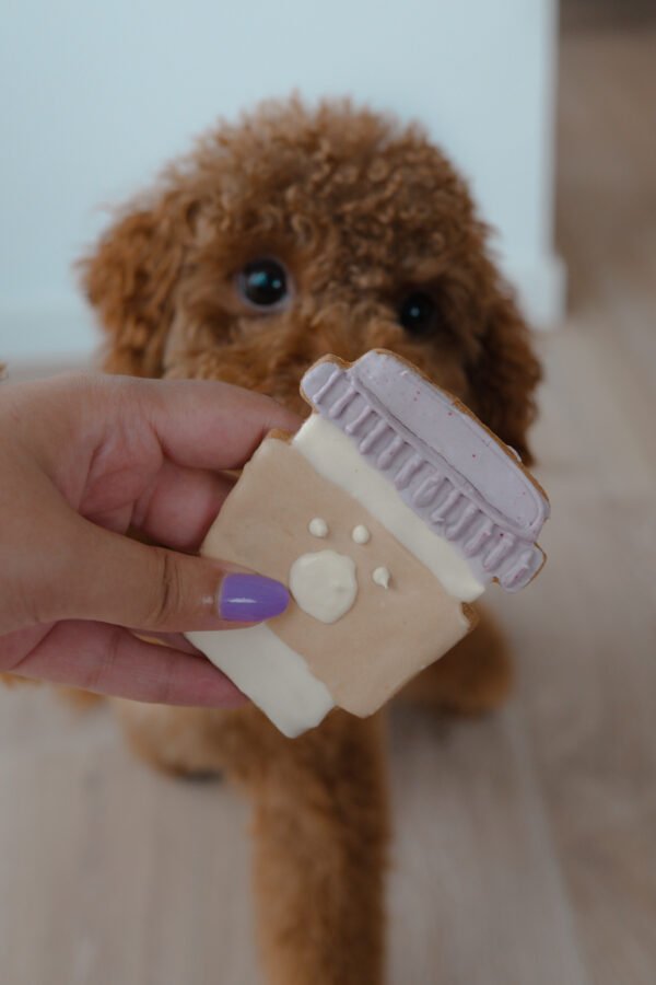 Puppuccino - Afbeelding 3
