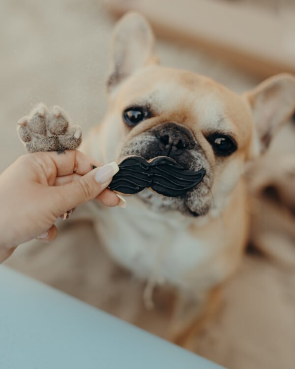 Woofstache