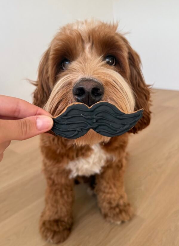 Woofstache - Afbeelding 4