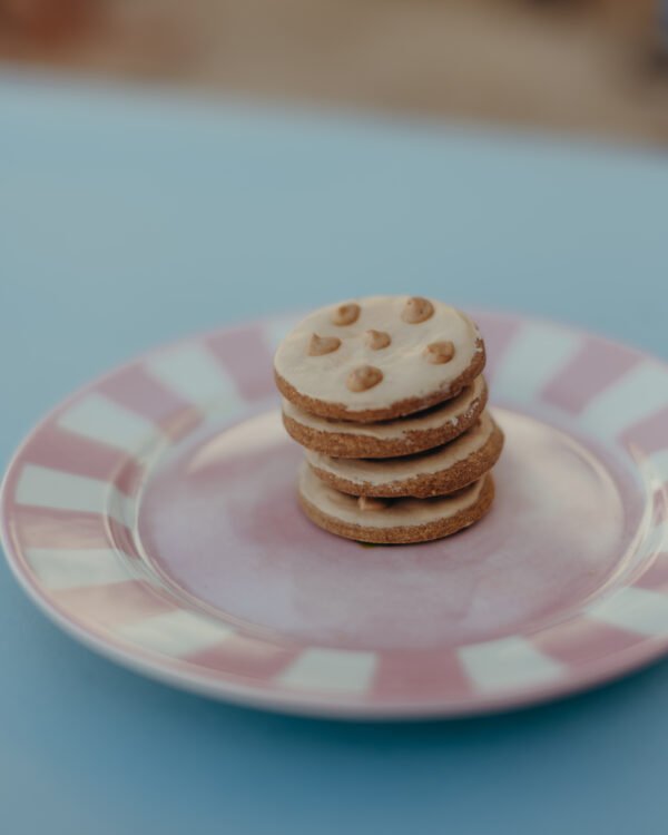 Chocolate chip cookie
